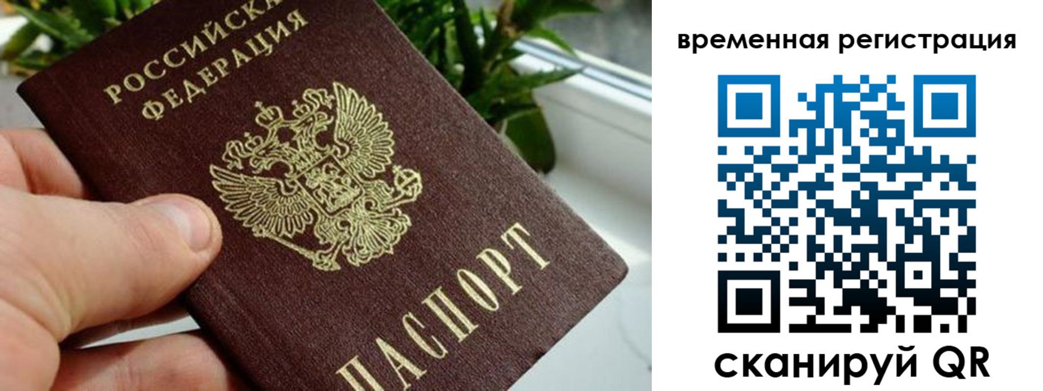 прописка поиск в Заводоуковске